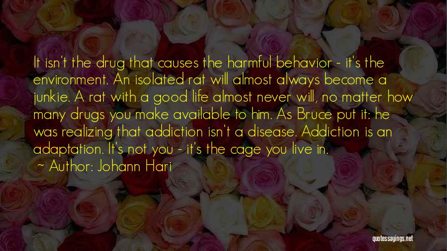 Johann Hari Quotes: It Isn't The Drug That Causes The Harmful Behavior - It's The Environment. An Isolated Rat Will Almost Always Become