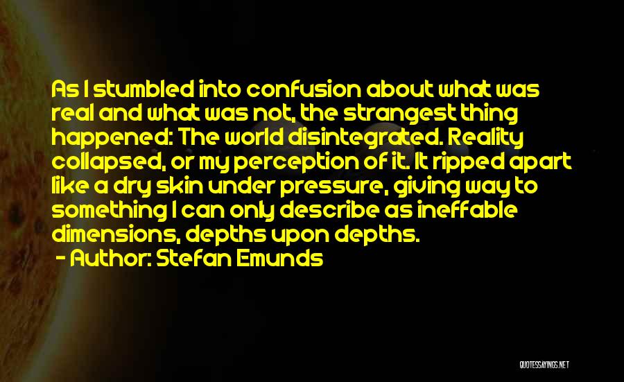 Stefan Emunds Quotes: As I Stumbled Into Confusion About What Was Real And What Was Not, The Strangest Thing Happened: The World Disintegrated.