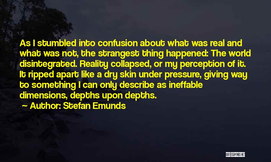 Stefan Emunds Quotes: As I Stumbled Into Confusion About What Was Real And What Was Not, The Strangest Thing Happened: The World Disintegrated.