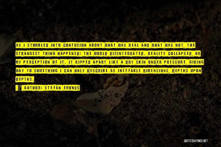 Stefan Emunds Quotes: As I Stumbled Into Confusion About What Was Real And What Was Not, The Strangest Thing Happened: The World Disintegrated.