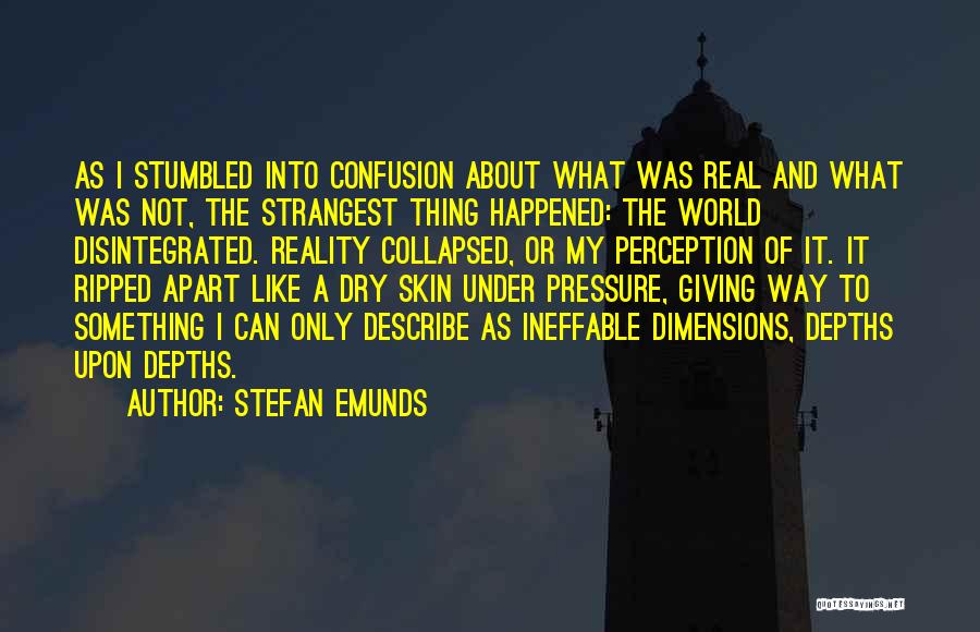 Stefan Emunds Quotes: As I Stumbled Into Confusion About What Was Real And What Was Not, The Strangest Thing Happened: The World Disintegrated.