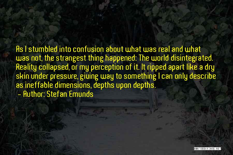 Stefan Emunds Quotes: As I Stumbled Into Confusion About What Was Real And What Was Not, The Strangest Thing Happened: The World Disintegrated.