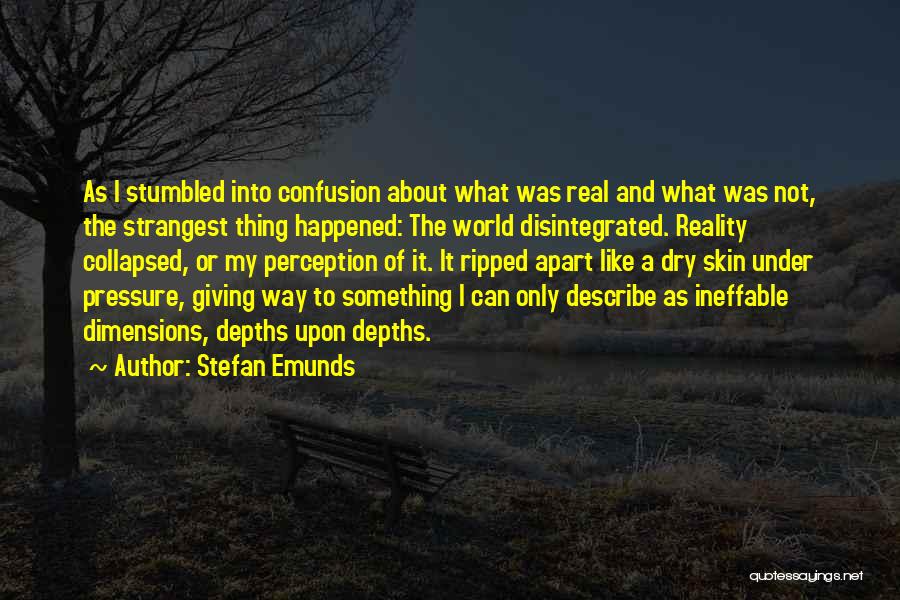 Stefan Emunds Quotes: As I Stumbled Into Confusion About What Was Real And What Was Not, The Strangest Thing Happened: The World Disintegrated.