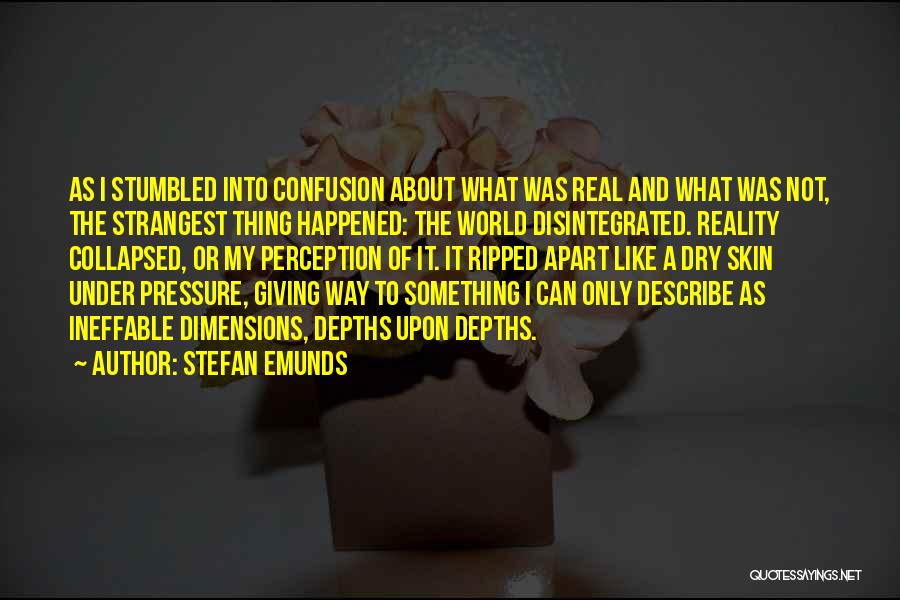 Stefan Emunds Quotes: As I Stumbled Into Confusion About What Was Real And What Was Not, The Strangest Thing Happened: The World Disintegrated.