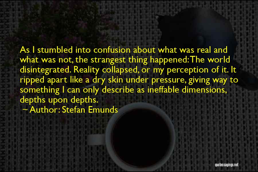 Stefan Emunds Quotes: As I Stumbled Into Confusion About What Was Real And What Was Not, The Strangest Thing Happened: The World Disintegrated.