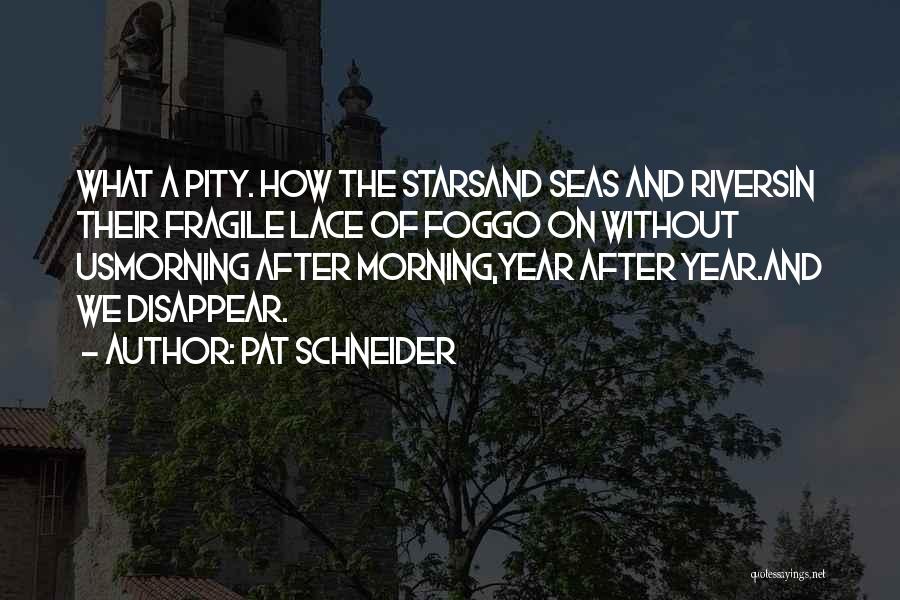 Pat Schneider Quotes: What A Pity. How The Starsand Seas And Riversin Their Fragile Lace Of Foggo On Without Usmorning After Morning,year After