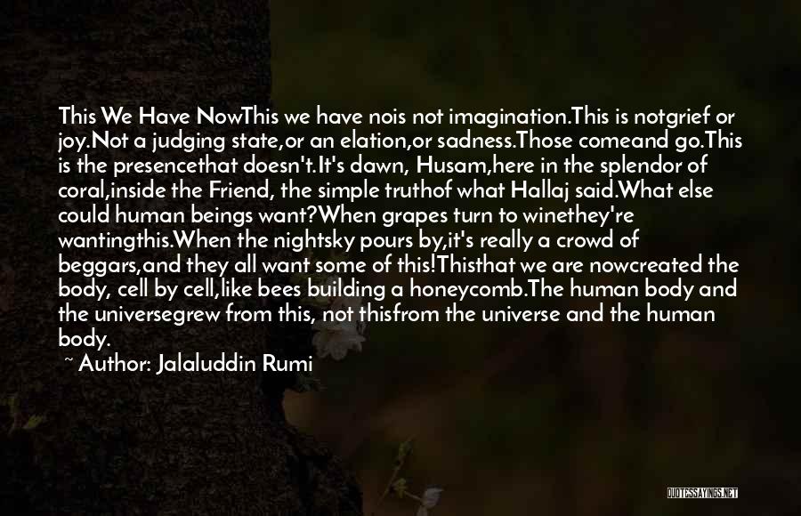 Jalaluddin Rumi Quotes: This We Have Nowthis We Have Nois Not Imagination.this Is Notgrief Or Joy.not A Judging State,or An Elation,or Sadness.those Comeand