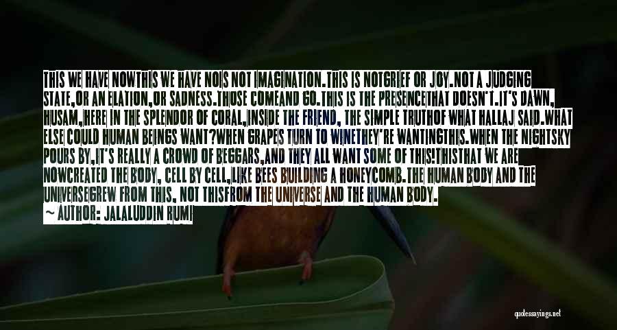 Jalaluddin Rumi Quotes: This We Have Nowthis We Have Nois Not Imagination.this Is Notgrief Or Joy.not A Judging State,or An Elation,or Sadness.those Comeand