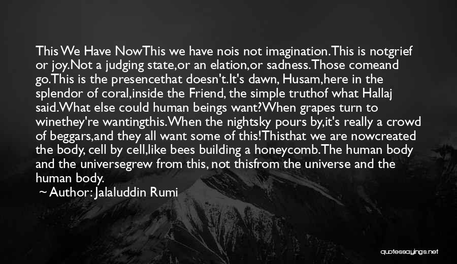 Jalaluddin Rumi Quotes: This We Have Nowthis We Have Nois Not Imagination.this Is Notgrief Or Joy.not A Judging State,or An Elation,or Sadness.those Comeand