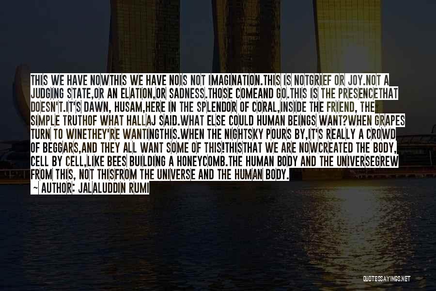 Jalaluddin Rumi Quotes: This We Have Nowthis We Have Nois Not Imagination.this Is Notgrief Or Joy.not A Judging State,or An Elation,or Sadness.those Comeand