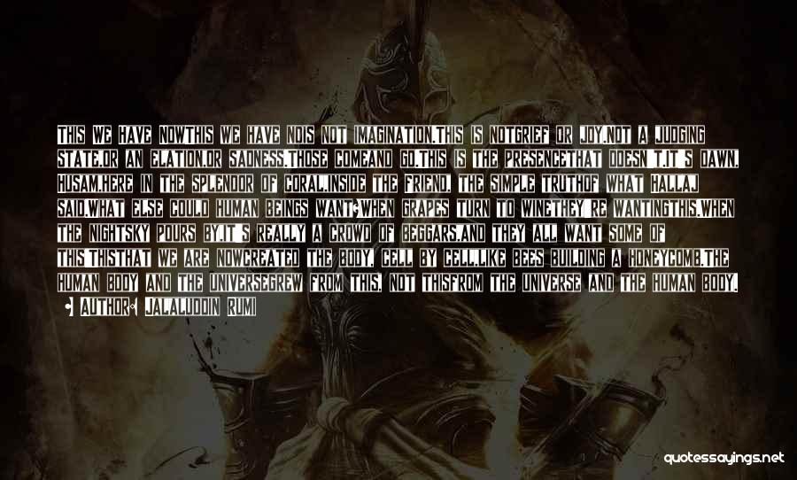 Jalaluddin Rumi Quotes: This We Have Nowthis We Have Nois Not Imagination.this Is Notgrief Or Joy.not A Judging State,or An Elation,or Sadness.those Comeand