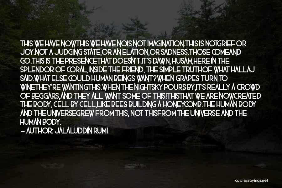 Jalaluddin Rumi Quotes: This We Have Nowthis We Have Nois Not Imagination.this Is Notgrief Or Joy.not A Judging State,or An Elation,or Sadness.those Comeand