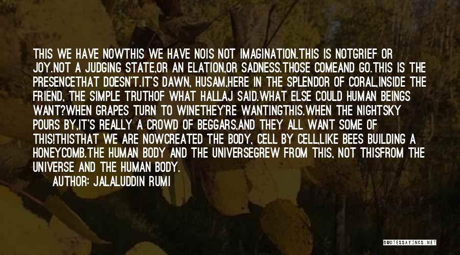 Jalaluddin Rumi Quotes: This We Have Nowthis We Have Nois Not Imagination.this Is Notgrief Or Joy.not A Judging State,or An Elation,or Sadness.those Comeand