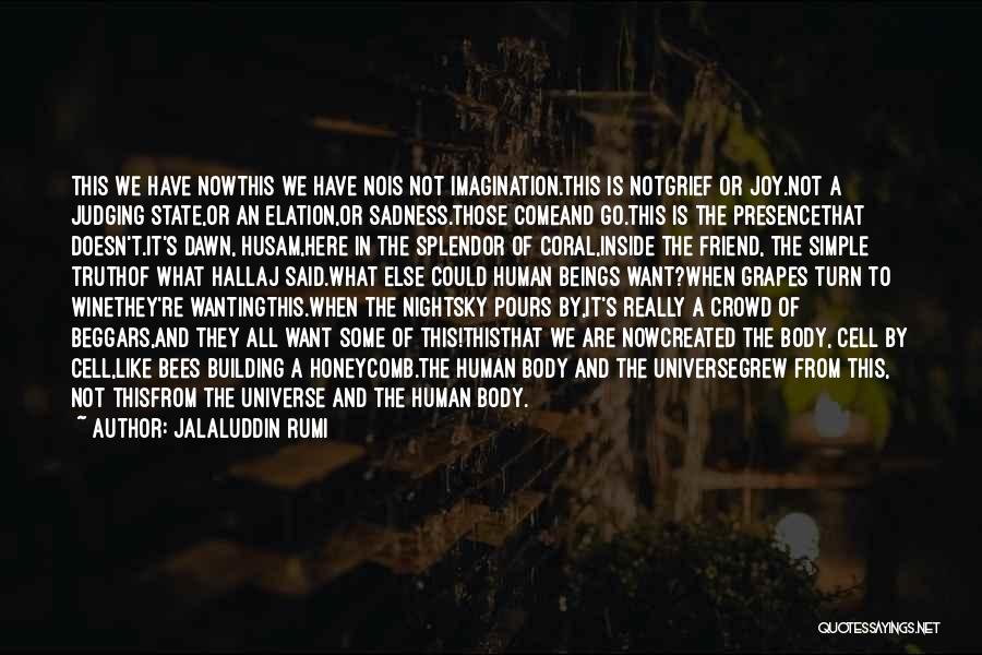Jalaluddin Rumi Quotes: This We Have Nowthis We Have Nois Not Imagination.this Is Notgrief Or Joy.not A Judging State,or An Elation,or Sadness.those Comeand