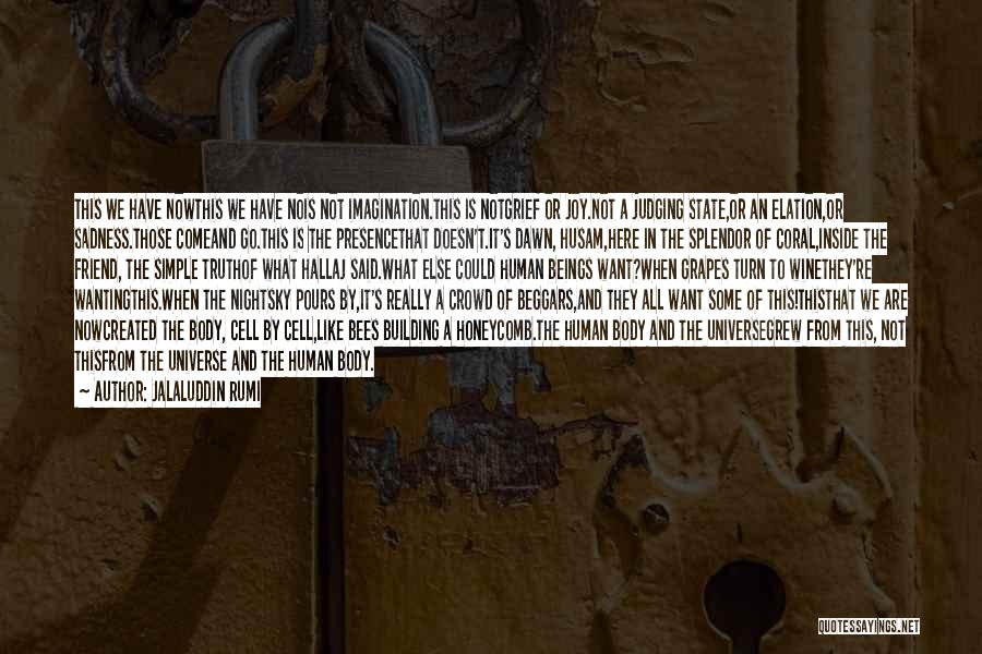 Jalaluddin Rumi Quotes: This We Have Nowthis We Have Nois Not Imagination.this Is Notgrief Or Joy.not A Judging State,or An Elation,or Sadness.those Comeand