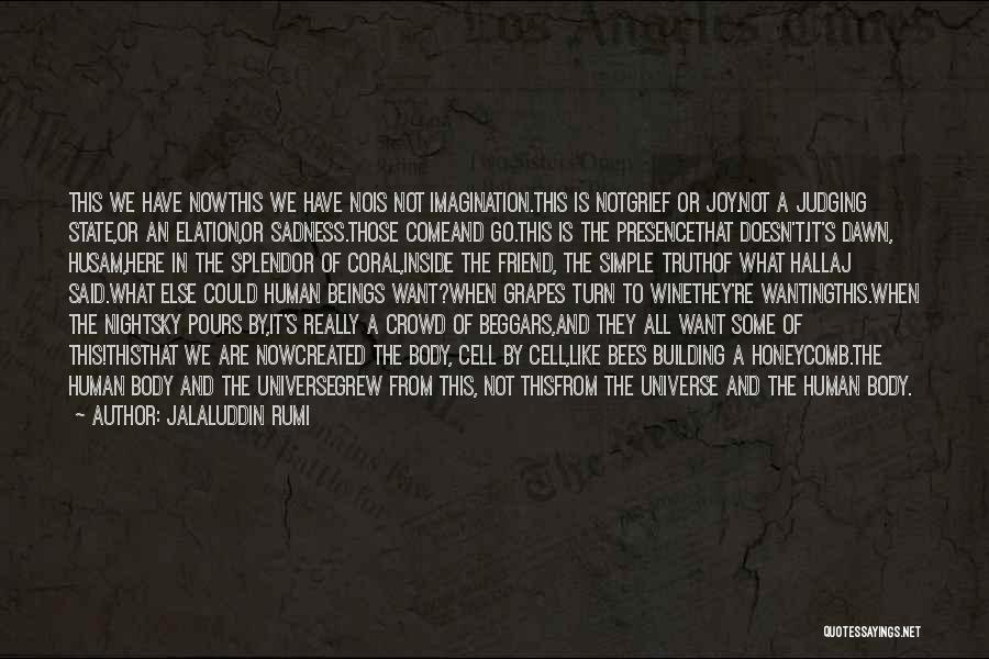 Jalaluddin Rumi Quotes: This We Have Nowthis We Have Nois Not Imagination.this Is Notgrief Or Joy.not A Judging State,or An Elation,or Sadness.those Comeand