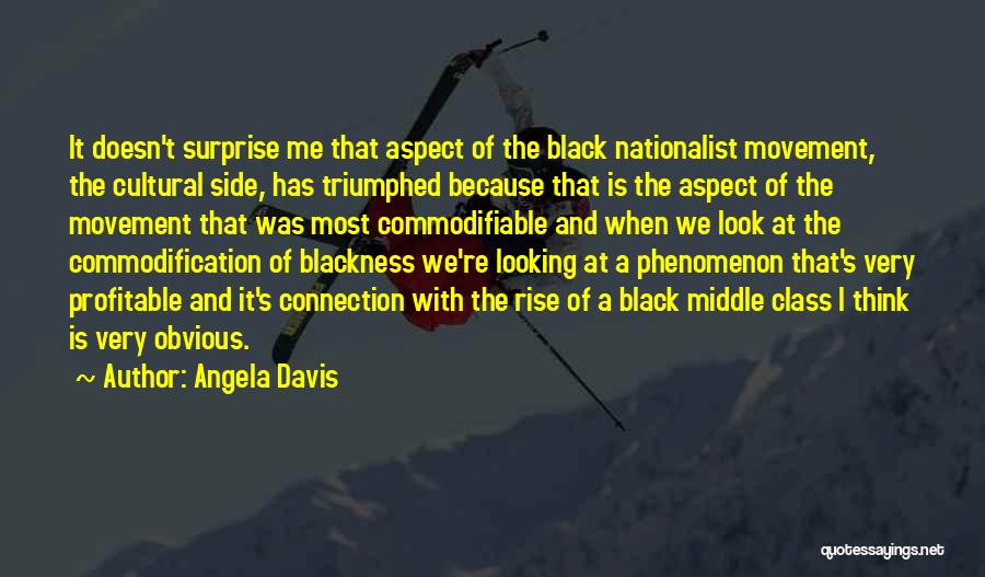 Angela Davis Quotes: It Doesn't Surprise Me That Aspect Of The Black Nationalist Movement, The Cultural Side, Has Triumphed Because That Is The