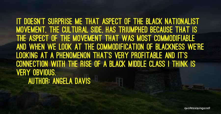 Angela Davis Quotes: It Doesn't Surprise Me That Aspect Of The Black Nationalist Movement, The Cultural Side, Has Triumphed Because That Is The