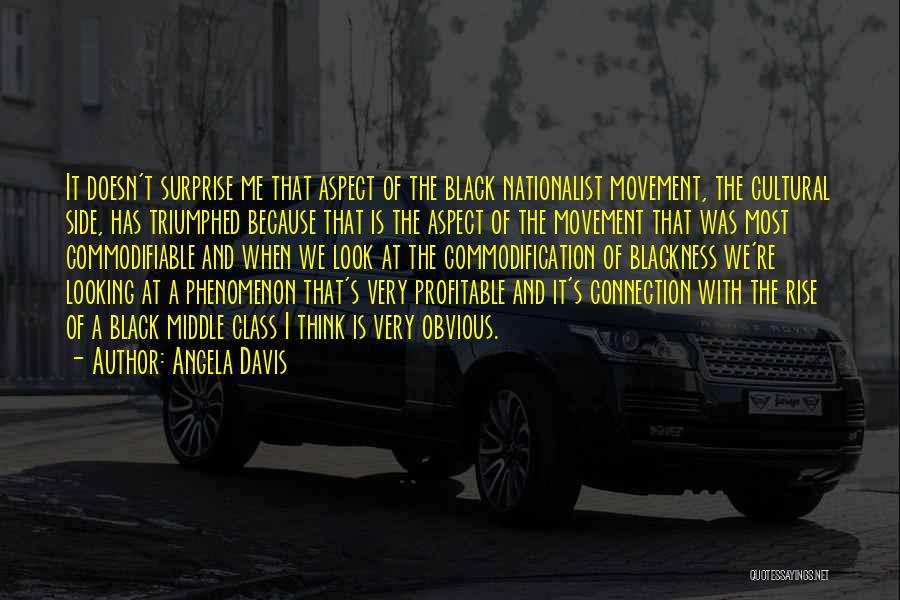 Angela Davis Quotes: It Doesn't Surprise Me That Aspect Of The Black Nationalist Movement, The Cultural Side, Has Triumphed Because That Is The