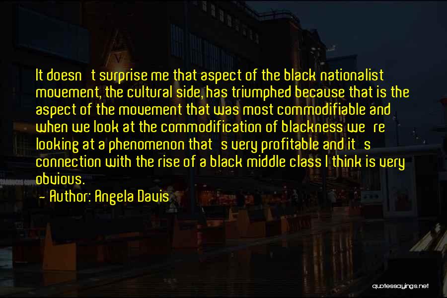 Angela Davis Quotes: It Doesn't Surprise Me That Aspect Of The Black Nationalist Movement, The Cultural Side, Has Triumphed Because That Is The