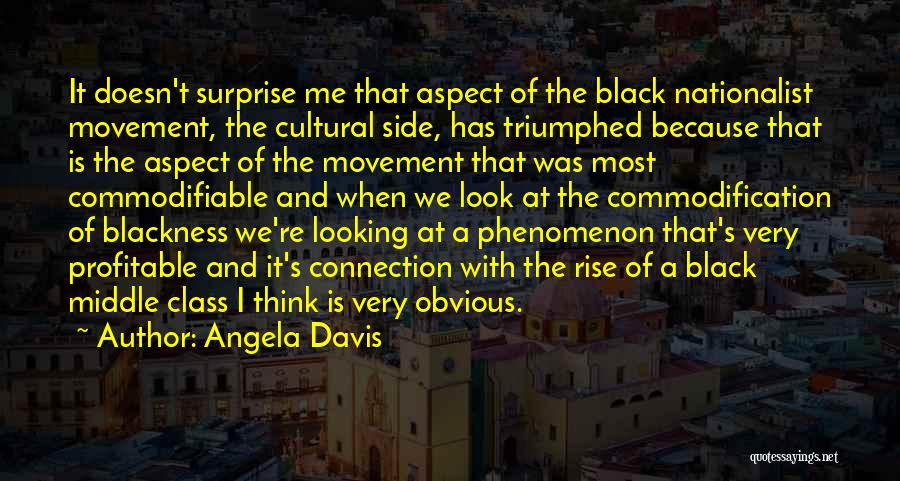 Angela Davis Quotes: It Doesn't Surprise Me That Aspect Of The Black Nationalist Movement, The Cultural Side, Has Triumphed Because That Is The