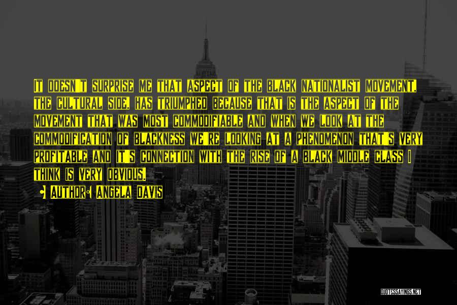 Angela Davis Quotes: It Doesn't Surprise Me That Aspect Of The Black Nationalist Movement, The Cultural Side, Has Triumphed Because That Is The