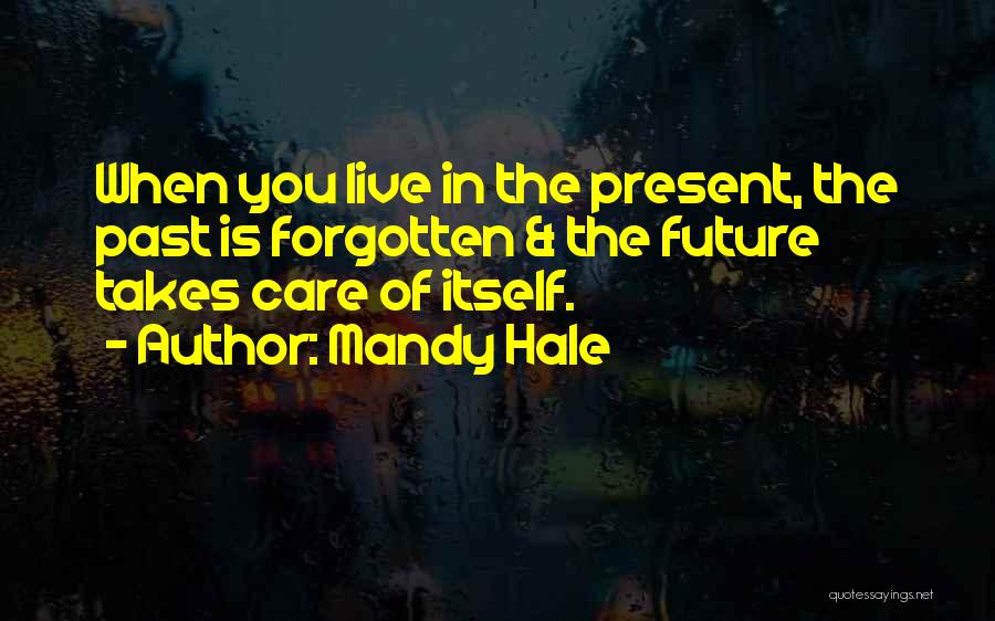 Mandy Hale Quotes: When You Live In The Present, The Past Is Forgotten & The Future Takes Care Of Itself.