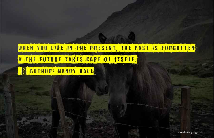 Mandy Hale Quotes: When You Live In The Present, The Past Is Forgotten & The Future Takes Care Of Itself.