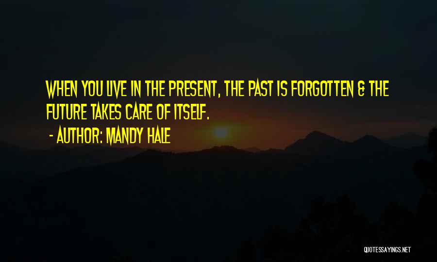 Mandy Hale Quotes: When You Live In The Present, The Past Is Forgotten & The Future Takes Care Of Itself.