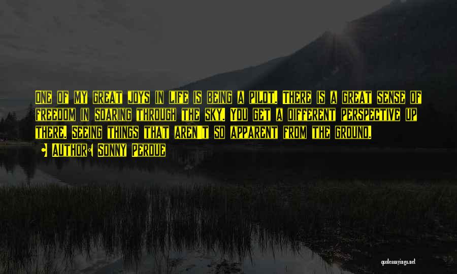 Sonny Perdue Quotes: One Of My Great Joys In Life Is Being A Pilot. There Is A Great Sense Of Freedom In Soaring