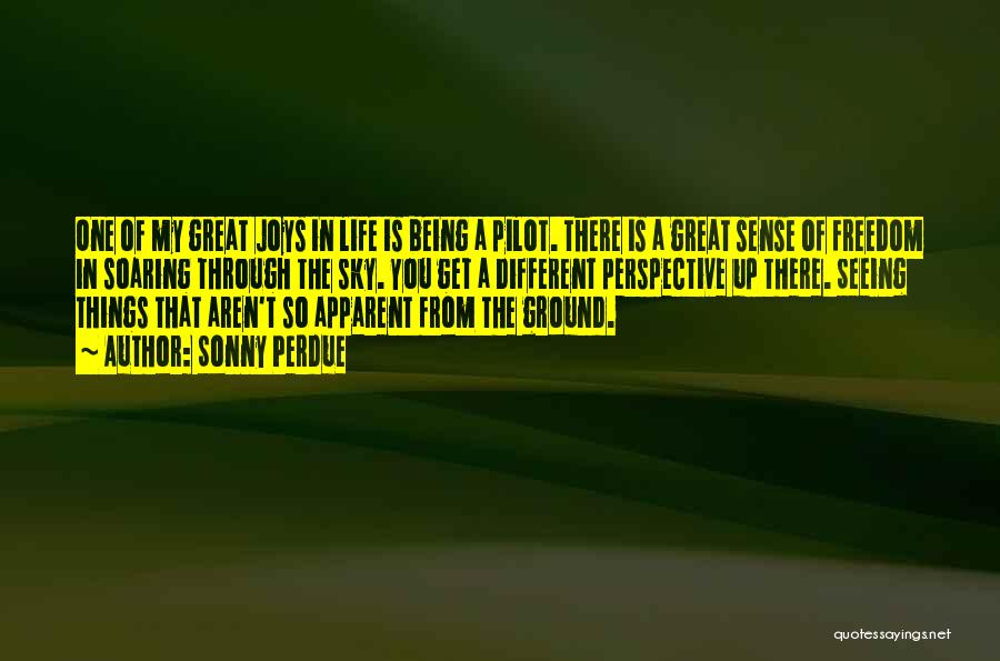 Sonny Perdue Quotes: One Of My Great Joys In Life Is Being A Pilot. There Is A Great Sense Of Freedom In Soaring