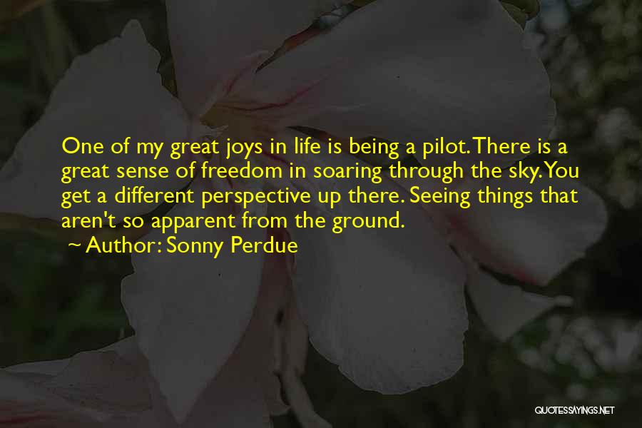 Sonny Perdue Quotes: One Of My Great Joys In Life Is Being A Pilot. There Is A Great Sense Of Freedom In Soaring