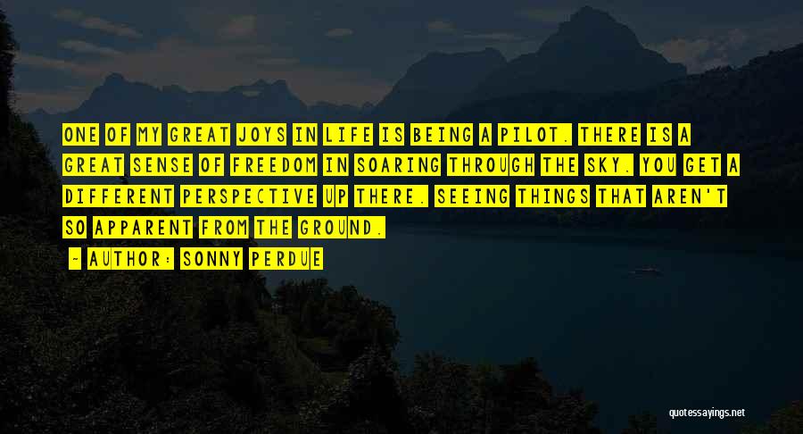 Sonny Perdue Quotes: One Of My Great Joys In Life Is Being A Pilot. There Is A Great Sense Of Freedom In Soaring