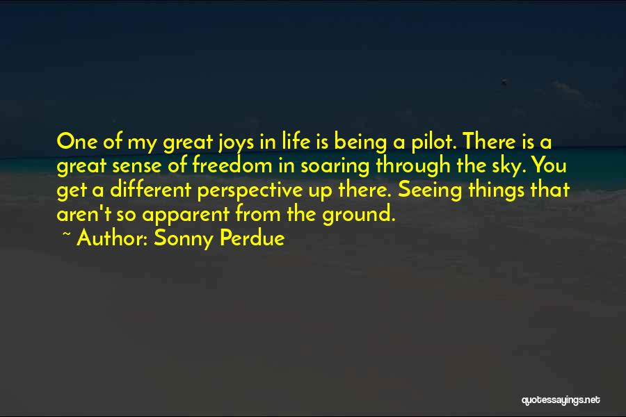 Sonny Perdue Quotes: One Of My Great Joys In Life Is Being A Pilot. There Is A Great Sense Of Freedom In Soaring