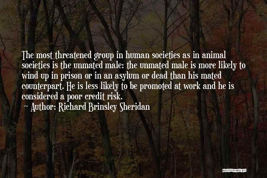 Richard Brinsley Sheridan Quotes: The Most Threatened Group In Human Societies As In Animal Societies Is The Unmated Male: The Unmated Male Is More