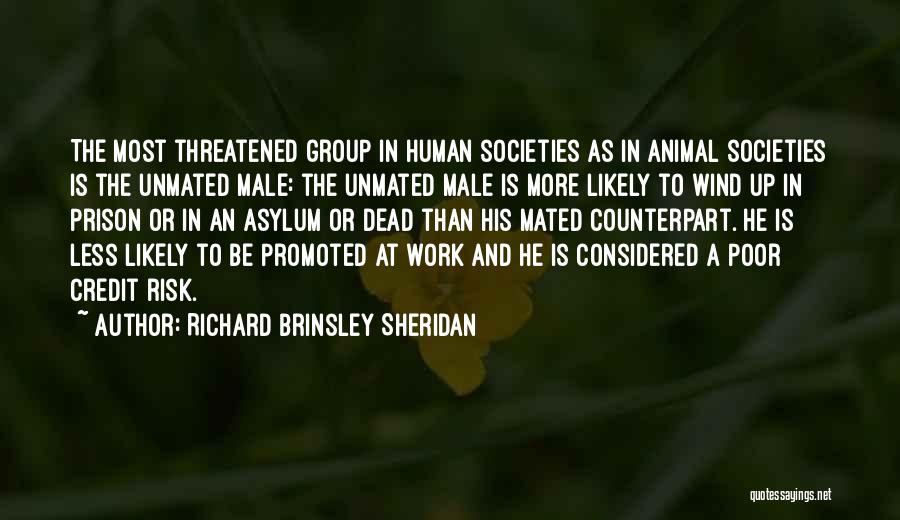 Richard Brinsley Sheridan Quotes: The Most Threatened Group In Human Societies As In Animal Societies Is The Unmated Male: The Unmated Male Is More