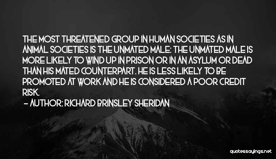 Richard Brinsley Sheridan Quotes: The Most Threatened Group In Human Societies As In Animal Societies Is The Unmated Male: The Unmated Male Is More