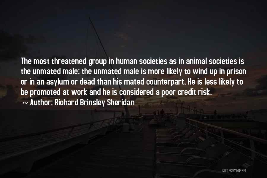 Richard Brinsley Sheridan Quotes: The Most Threatened Group In Human Societies As In Animal Societies Is The Unmated Male: The Unmated Male Is More