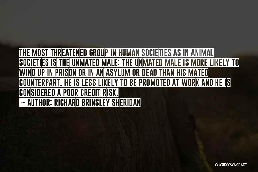 Richard Brinsley Sheridan Quotes: The Most Threatened Group In Human Societies As In Animal Societies Is The Unmated Male: The Unmated Male Is More