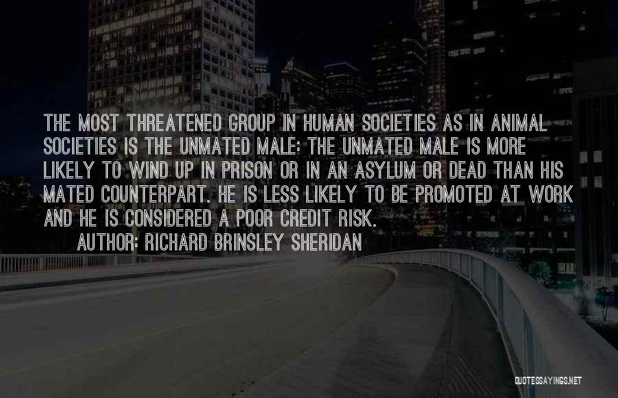 Richard Brinsley Sheridan Quotes: The Most Threatened Group In Human Societies As In Animal Societies Is The Unmated Male: The Unmated Male Is More