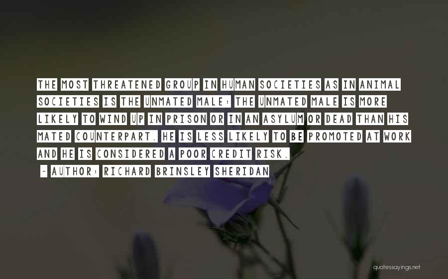 Richard Brinsley Sheridan Quotes: The Most Threatened Group In Human Societies As In Animal Societies Is The Unmated Male: The Unmated Male Is More