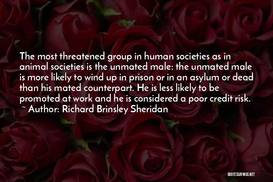 Richard Brinsley Sheridan Quotes: The Most Threatened Group In Human Societies As In Animal Societies Is The Unmated Male: The Unmated Male Is More