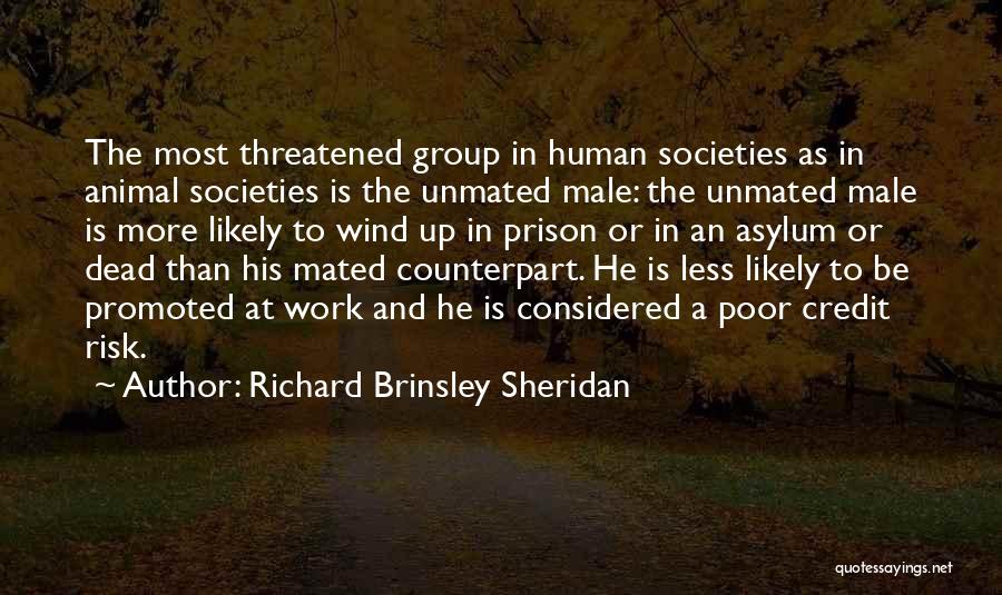 Richard Brinsley Sheridan Quotes: The Most Threatened Group In Human Societies As In Animal Societies Is The Unmated Male: The Unmated Male Is More