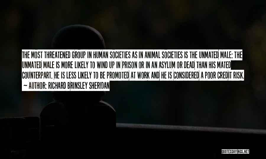 Richard Brinsley Sheridan Quotes: The Most Threatened Group In Human Societies As In Animal Societies Is The Unmated Male: The Unmated Male Is More