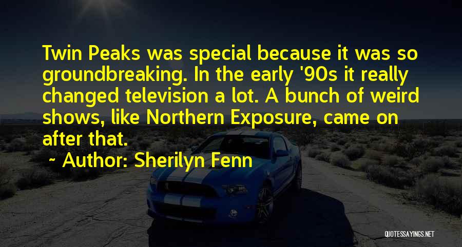 90s Quotes By Sherilyn Fenn