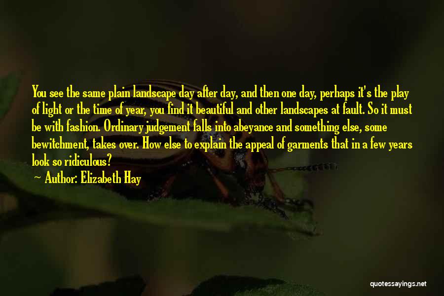 Elizabeth Hay Quotes: You See The Same Plain Landscape Day After Day, And Then One Day, Perhaps It's The Play Of Light Or