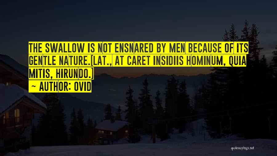 Ovid Quotes: The Swallow Is Not Ensnared By Men Because Of Its Gentle Nature.[lat., At Caret Insidiis Hominum, Quia Mitis, Hirundo.]