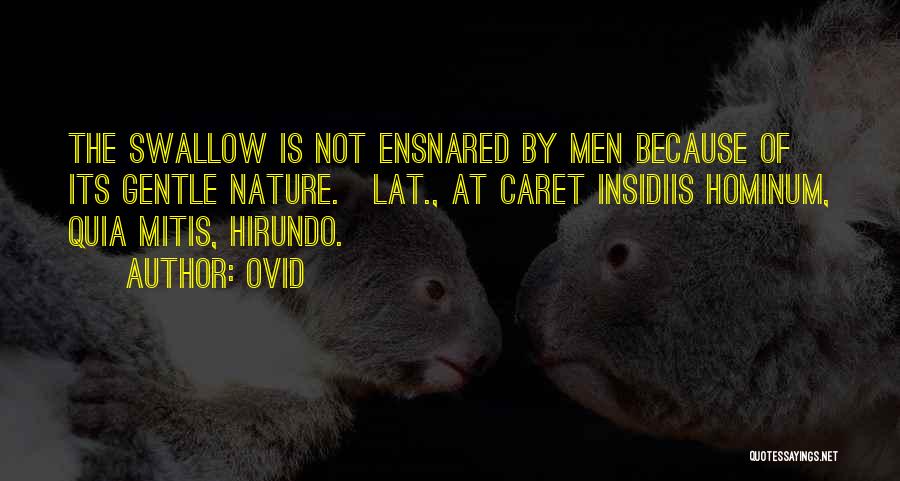 Ovid Quotes: The Swallow Is Not Ensnared By Men Because Of Its Gentle Nature.[lat., At Caret Insidiis Hominum, Quia Mitis, Hirundo.]