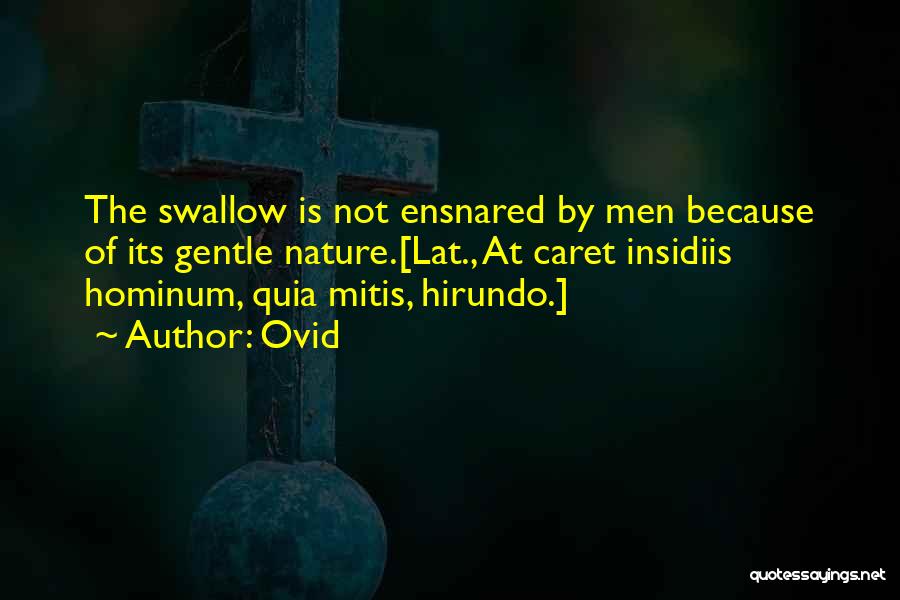 Ovid Quotes: The Swallow Is Not Ensnared By Men Because Of Its Gentle Nature.[lat., At Caret Insidiis Hominum, Quia Mitis, Hirundo.]