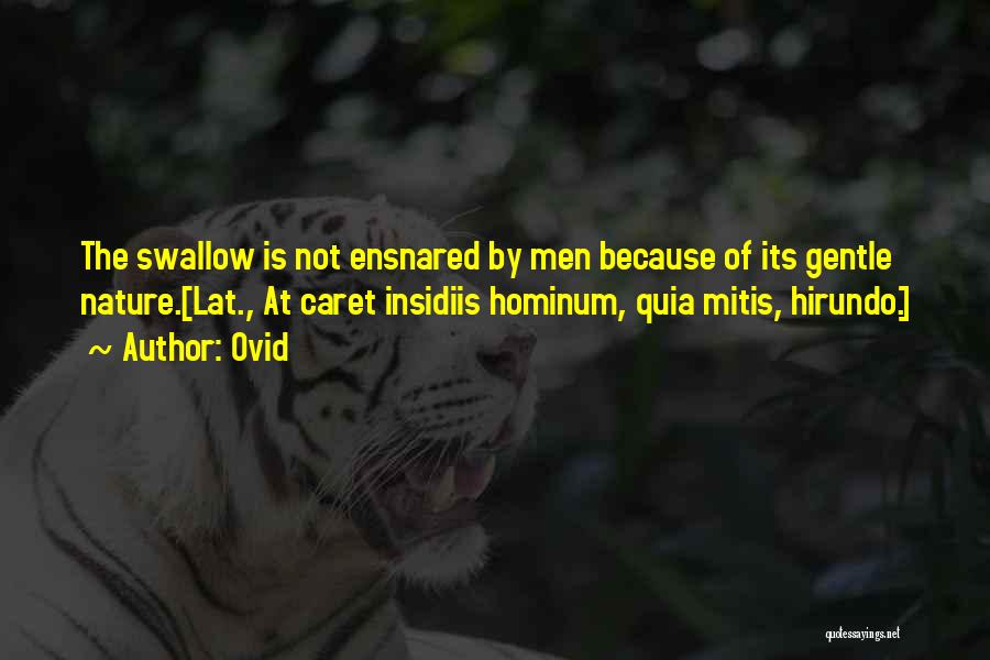 Ovid Quotes: The Swallow Is Not Ensnared By Men Because Of Its Gentle Nature.[lat., At Caret Insidiis Hominum, Quia Mitis, Hirundo.]